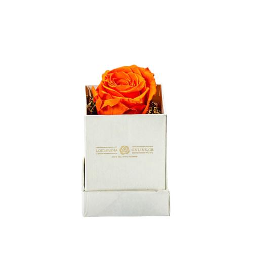 Forever Roses Πορτοκαλί Essential 6x9cm