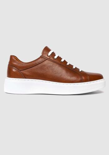 Alessandro Rossi Leather Sneakers - ARS1875 023 Tabbaco