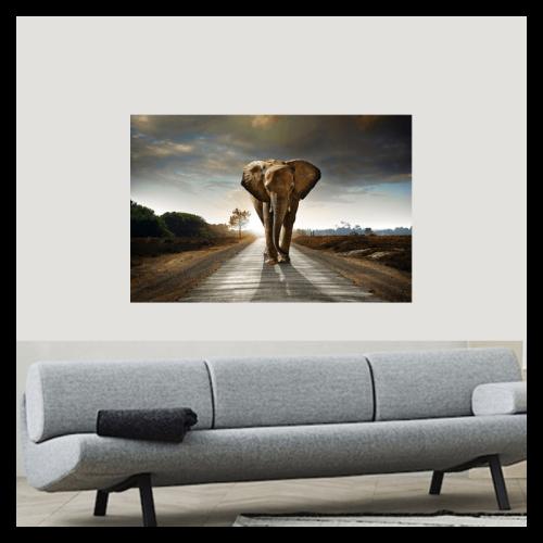 Πίνακας σε καμβά elephant on the road 90x60 Τελαρωμένος καμβάς σε ξύλο με πάχος 2cm