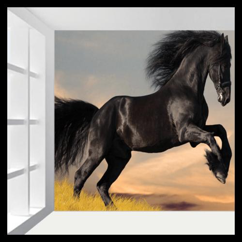 Ταπετσαρία με μάυρο άλογο 180x180 Ύφασμα