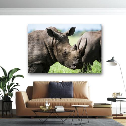 Πίνακας σε καμβά Ρινόκεροι 135x90 Τελαρωμένος καμβάς σε ξύλο με πάχος 2cm