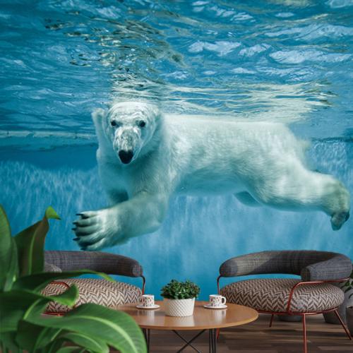 Ταπετσαρία με Polar Bear 300x200 Ύφασμα
