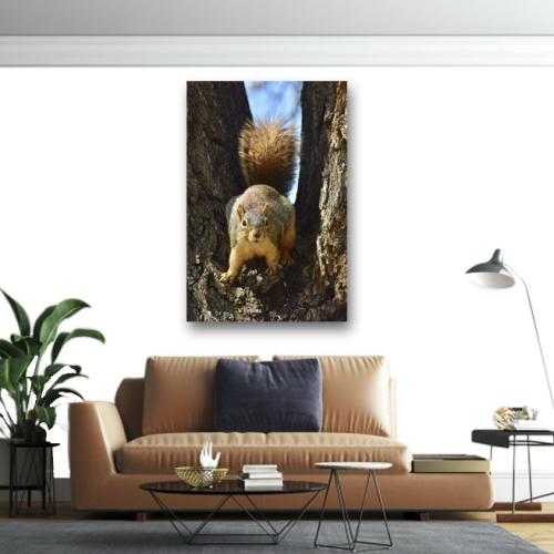 Πίνακας σε καμβά Σκίουρος 2 60x40 Τελαρωμένος καμβάς σε ξύλο με πάχος 2cm