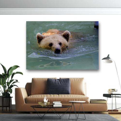 Πίνακας σε καμβά Καφέ αρκούδα στο νερό 195x130 Τελαρωμένος καμβάς σε ξύλο με πάχος 2cm