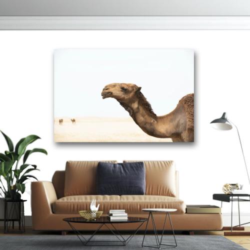 Πίνακας σε καμβά Καμήλα 2 90x60 Τελαρωμένος καμβάς σε ξύλο με πάχος 2cm