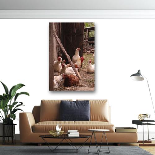 Πίνακας σε καμβά Κότες στο κοτέτσι 2 195x130 Τελαρωμένος καμβάς σε ξύλο με πάχος 2cm