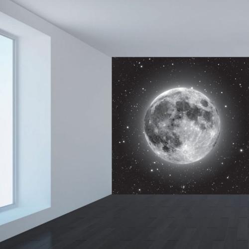 Ταπετσαρία τοίχου Ασπρόμαυρη σελήνη 200x200 Ύφασμα