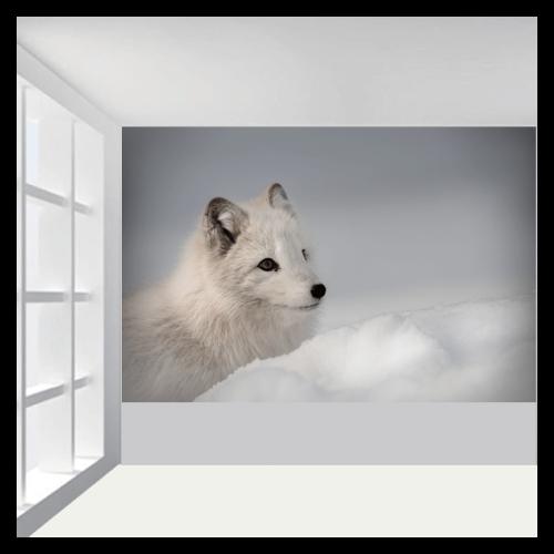 Ταπετσαρία τοίχου Άσπρος λύκος 100x60 Βινύλιο
