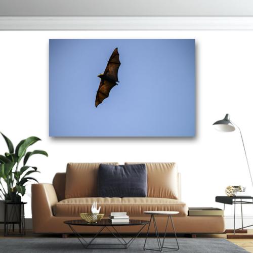 Πίνακας σε καμβα Νυχτερίδα που πετάει 90x135 Τελαρωμένος καμβάς σε ξύλο με πάχος 2cm