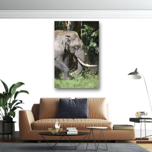 Πίνακας σε καμβά Ελέφαντας 180x120 Τελαρωμένος καμβάς σε ξύλο με πάχος 2cm