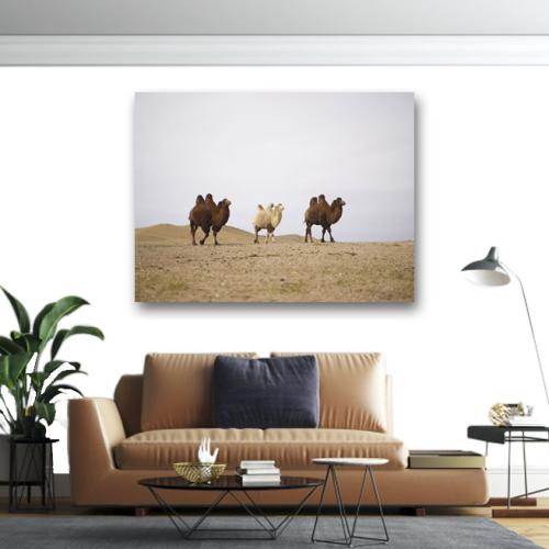 Πίνακας σε καμβά Καμήλες στην έρημο 200x150 Τελαρωμένος καμβάς σε ξύλο με πάχος 2cm