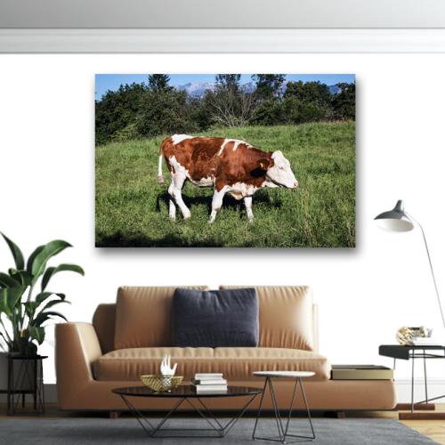 Πίνακας σε καμβά Αγελάδα στο λιβάδι 180x120 Τελαρωμένος καμβάς σε ξύλο με πάχος 2cm