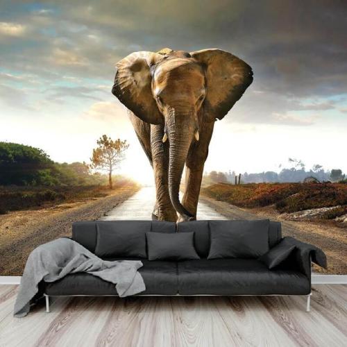 Ταπετσαρία τοίχου με ελέφαντα 160x90 Ύφασμα