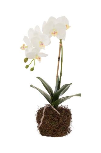 Τεχνητό φυτό J-Line Orchid In Soil