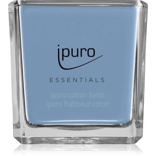 ipuro Essentials Cotton Fields αρωματικό κερί 125 γρ