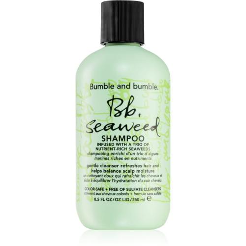Bumble and bumble Seaweed Shampoo σαμπουάν για σπαστά μαλλιά με εκχυλίσματα φυκιών 250 ml