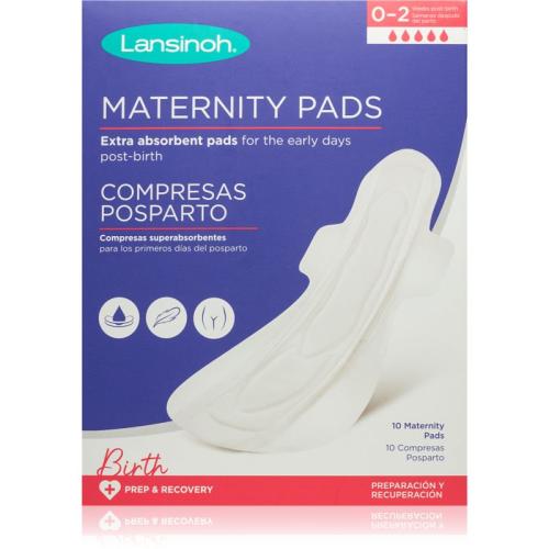 Lansinoh Maternity Pads 0-2 weeks σερβιέτες λοχείας 10 τμχ