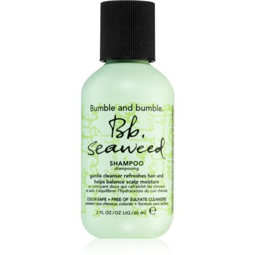 Bumble and bumble Seaweed Shampoo σαμπουάν για σπαστά μαλλιά με εκχυλίσματα φυκιών 60 ml