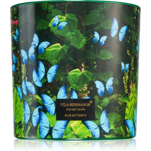 Vila Hermanos Jungletopia Blue Butterfly αρωματικό κερί 620 γρ