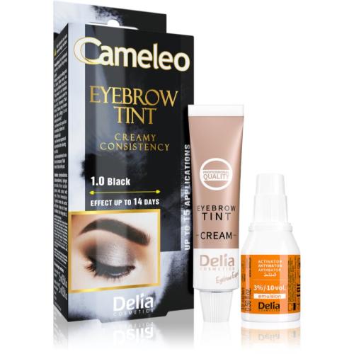 Delia Cosmetics Cameleo κρεμώδης επαγγελματική βαφή για τα φρύδια χωρίς αμμωνία απόχρωση 1.0 Black 15 ml