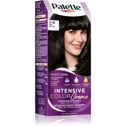 Schwarzkopf Palette Intensive Color Creme μόνιμη βαφή μαλλιών απόχρωση 1-0 N1 Black 1 τμχ