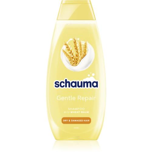 Schwarzkopf Schauma Gentle Repair Σαμπουάν για απαλή περιποίηση για ξηρά και κατεστραμμένα μαλλιά 400 ml