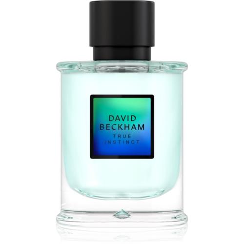 David Beckham True Instinct Eau de Parfum για άντρες 75 ml