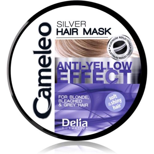 Delia Cosmetics Cameleo Silver μάσκα μαλλιών εξουδετέρωση κίτρινων αποχρώσεων 200 μλ