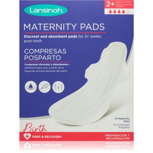 Lansinoh Maternity Pads 2 weeks+ σερβιέτες λοχείας 12 τμχ