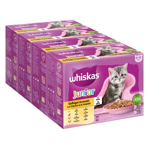 Megapack Whiskas Junior Φακελάκια 48 x 85 g - Ποικιλία Πουλερικών σε Ζελέ