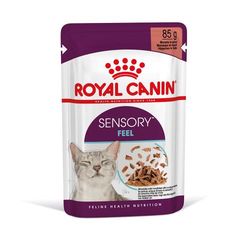 Royal Canin Sensory Feel σε Σάλτσα - 12 x 85 g