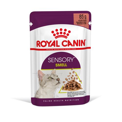 Royal Canin Sensory Smell σε Σάλτσα - 48 x 85 g