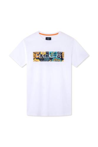T-Shirt Seaweed HACKETT