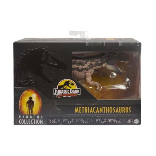 Mattel Jurassic World Hammon Collection - Metricanthosaurus HLT26 Φιγούρα