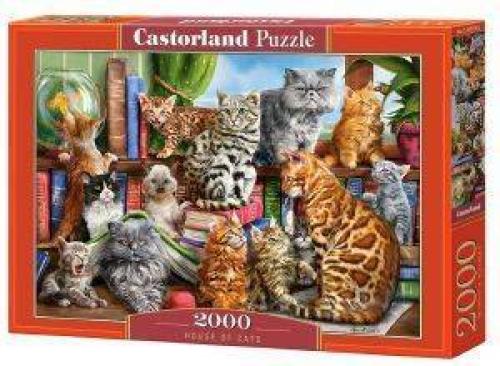 HOUSE OF CATS CASTORLAND 2000 ΚΟΜΜΑΤΙΑ