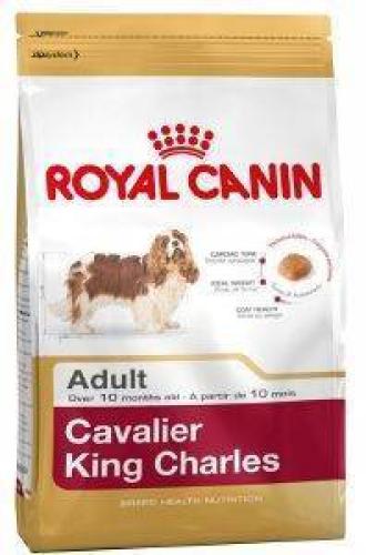ΤΡΟΦΗ ΣΚΥΛΟΥ ROYAL CANIN CAVALIER KING CHARLES ADULT 1.5KG
