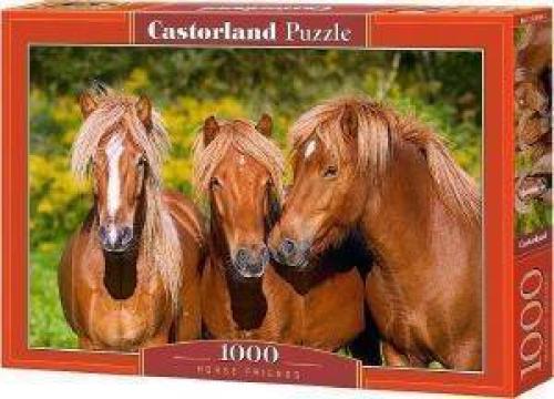 HORSE FRIENDS CASTORLAND 1000 ΚΟΜΜΑΤΙΑ