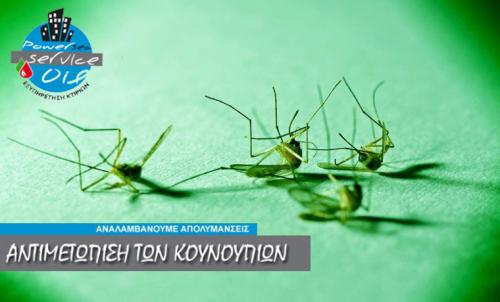 Απολύμανση Διαμερίσματος για την καταπολέμηση των κουνουπιών