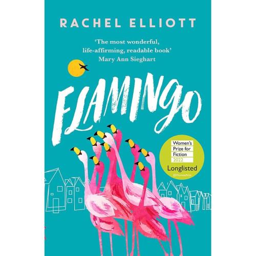 Flamingo: Longlisted for the Womens Prize for Fiction 2022, an exquisite novel of kindness and hope