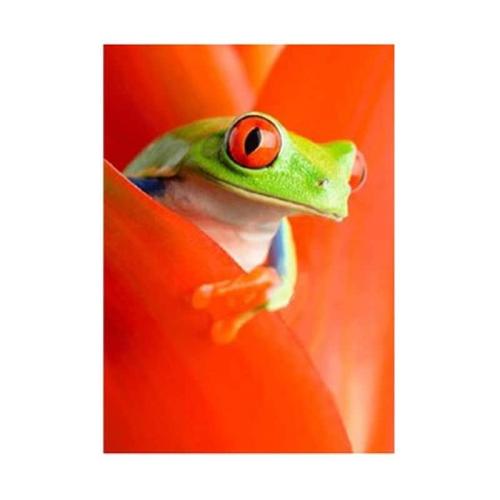 Κάρτα Post 3d Βατραχάκι Με Κόκκινα Μάτια
