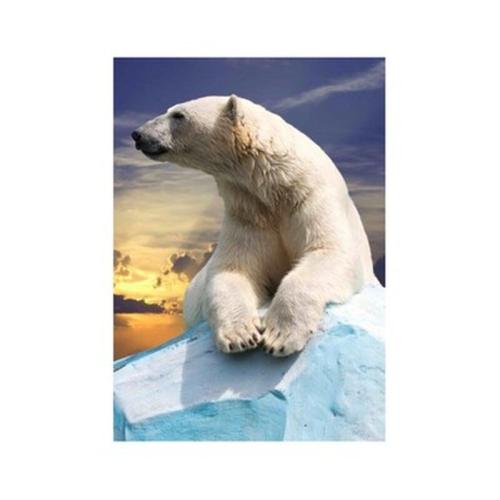 Κάρτα Post 3d Η Πολική Αρκούδα