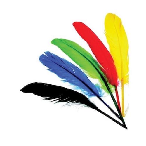 Φτερά Ινδιάνου Διάφορα Χρώματα 12-15εκ.