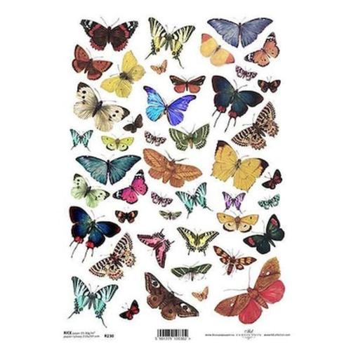 Ριζόχαρτο butterflies 1 21x29εκ. (itd-r230)