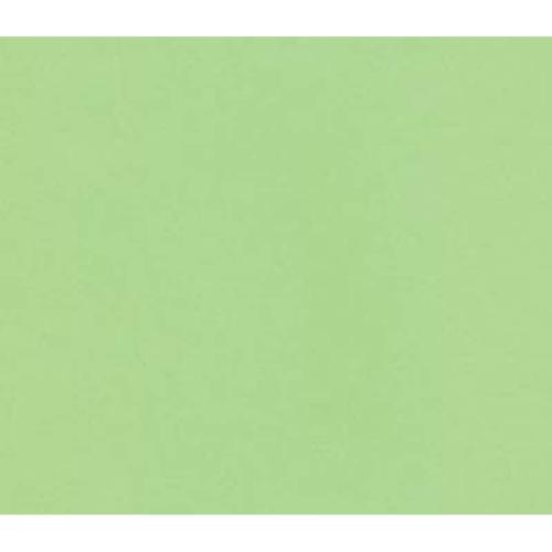 Next Φωτοαντιγραφικό Χαρτι Πράσινο Α4 80gr 500 φύλλα
